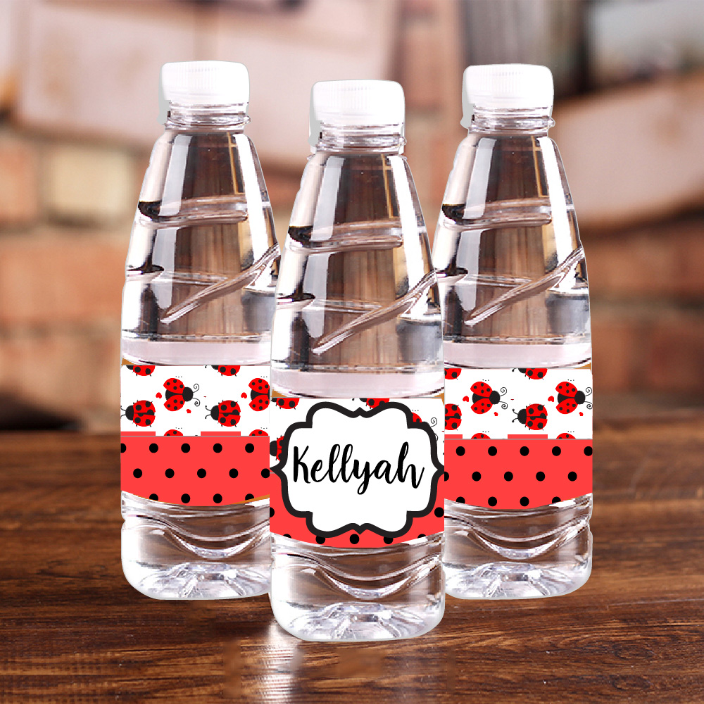 Kişiselleştirilmiş Uğur Böceği - Baby Food Mixer incelemesi ve fiyatı
